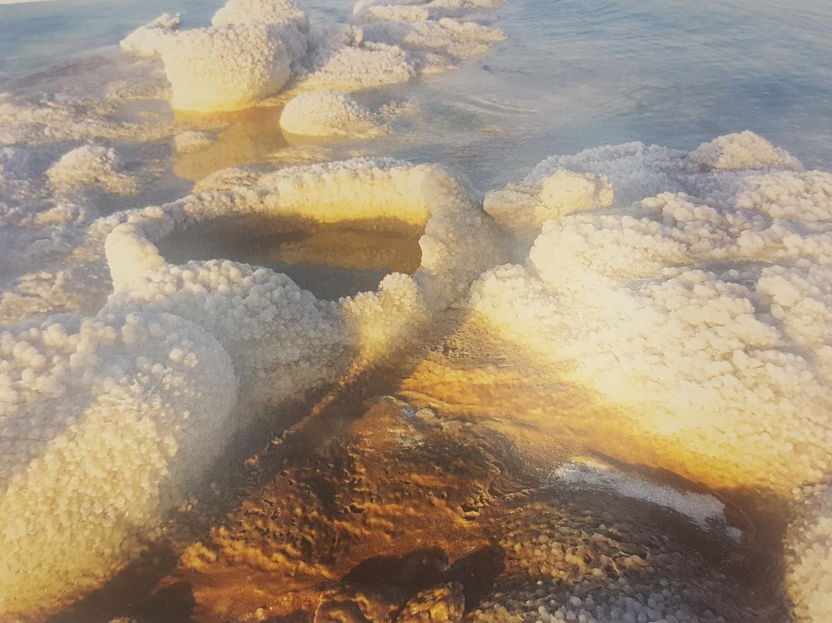 Beatrice Hospitality Villa Neve Zohar Bagian luar foto