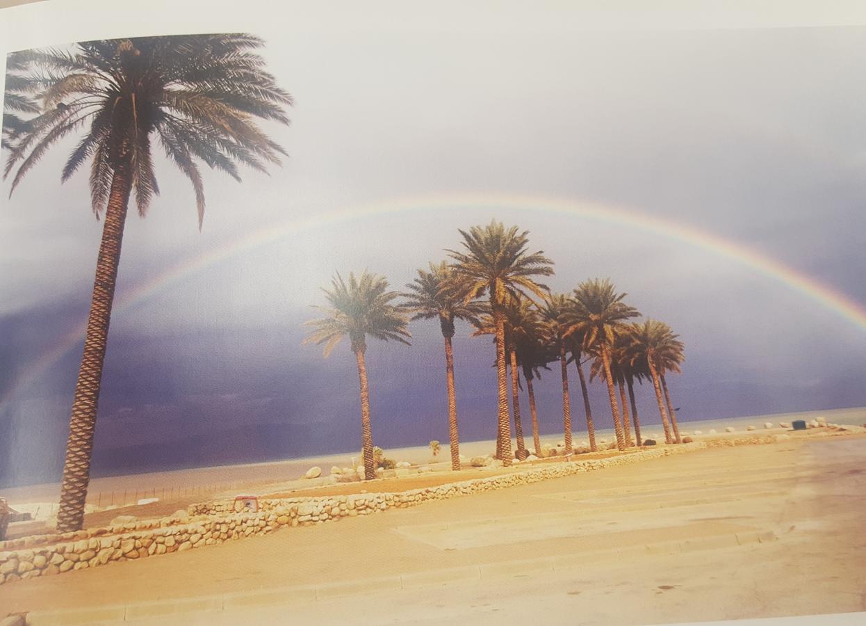 Beatrice Hospitality Villa Neve Zohar Bagian luar foto